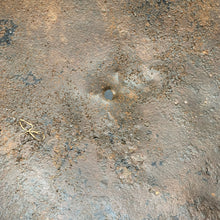 Load image into Gallery viewer, Original British Army WW2 Combat Steel Helmet - The Militaria Shop