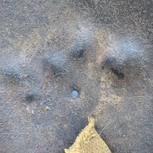 Load image into Gallery viewer, Original British Army WW2 Mk2 Combat Steel Helmet - The Militaria Shop