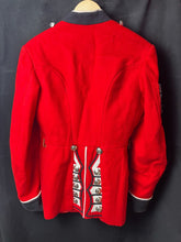 Charger l'image dans la galerie, Image #15