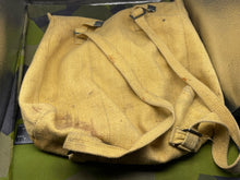 Charger l'image dans la galerie, Image #6