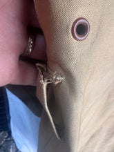 Charger l'image dans la galerie, Image #21