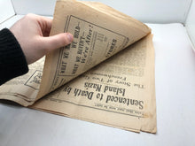 Charger l'image dans la galerie, Image #13