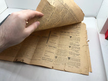 Charger l'image dans la galerie, Image #9