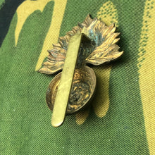 Charger l'image dans la galerie, Image #5