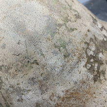 Load image into Gallery viewer, Image #9