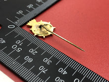 Lade das Bild in den Galerie-Viewer, Image #5