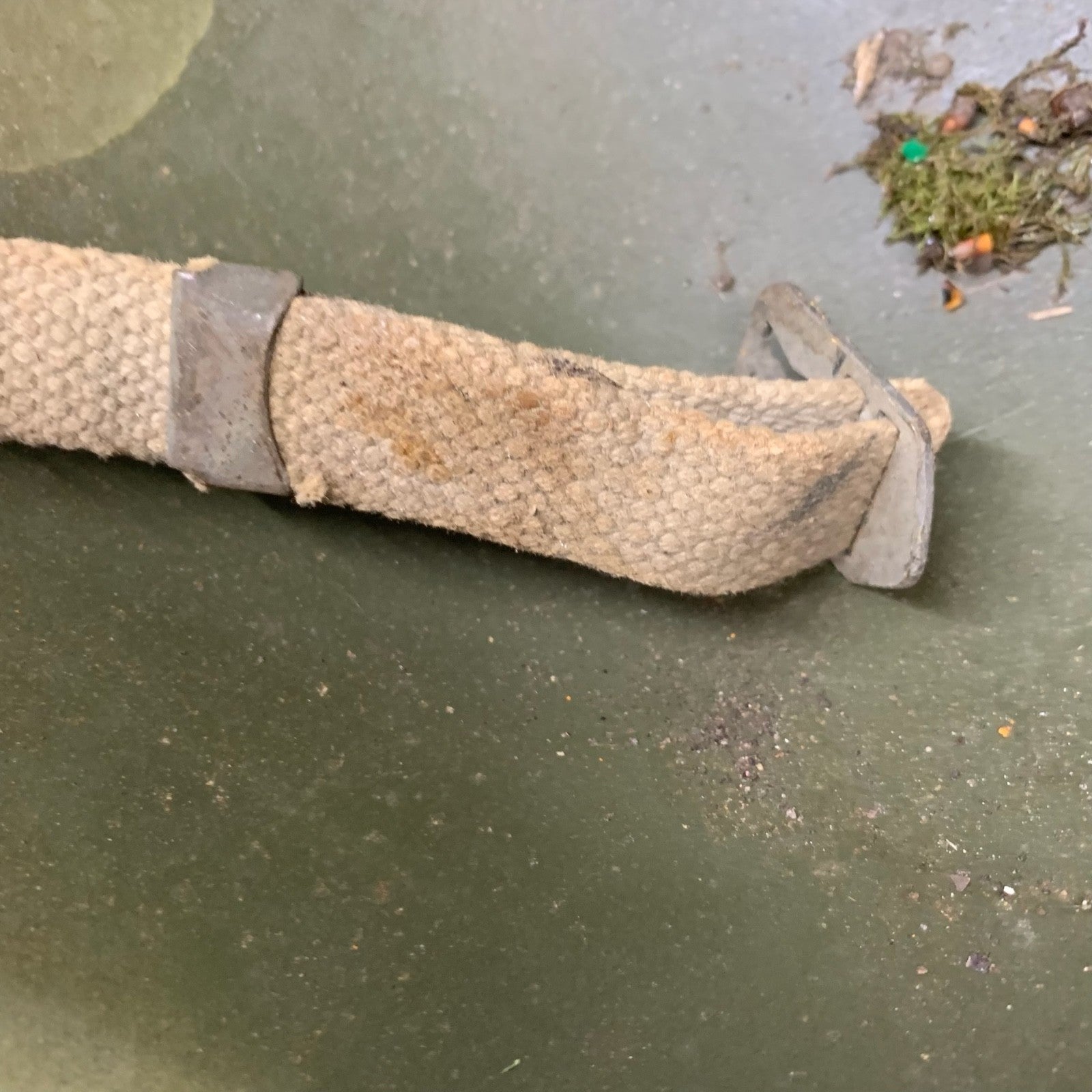 Image #16