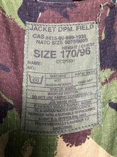 Charger l'image dans la galerie, Image #8