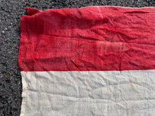 Charger l'image dans la galerie, Image #16