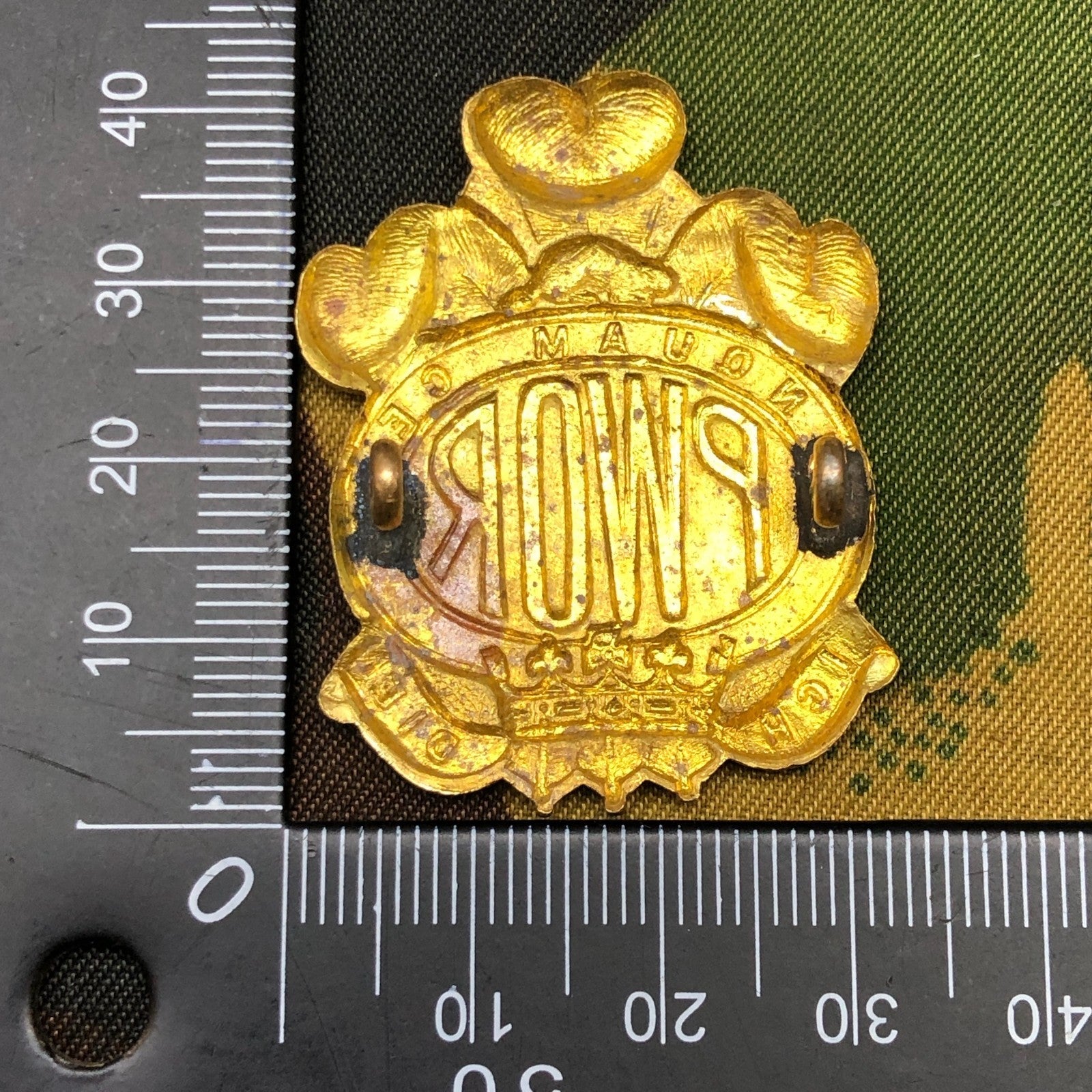 Original British Army Cap Badge - Princess of Wales' Own Regiment - The Militaria Shop