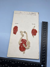 Charger l'image dans la galerie, Image #4