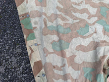 Charger l'image dans la galerie, Image #19