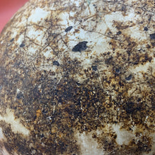 Load image into Gallery viewer, Image #11