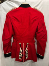 Charger l'image dans la galerie, Image #19