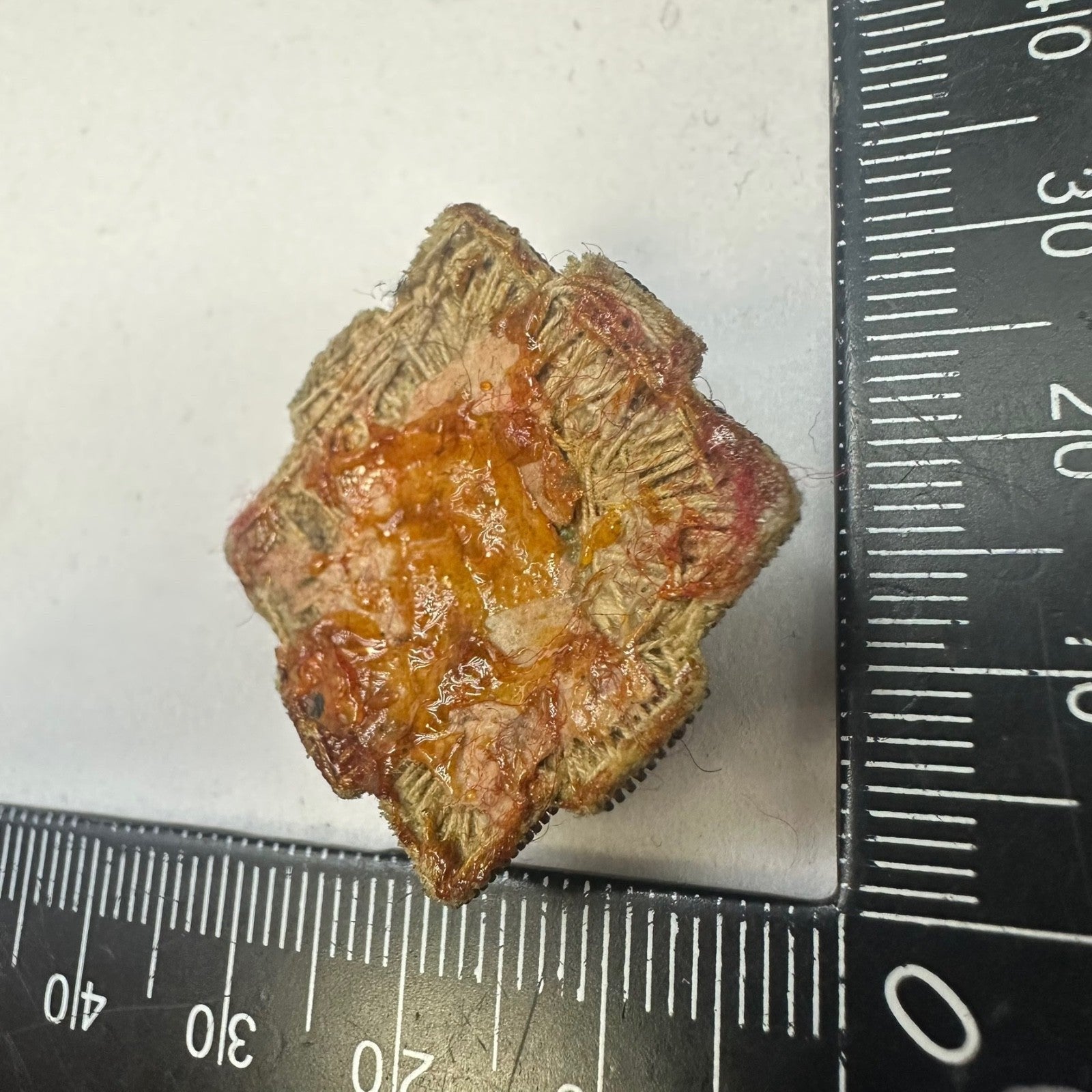Image #6