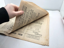 Charger l'image dans la galerie, Image #12