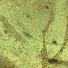 Load image into Gallery viewer, Image #13