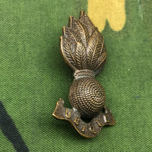 Charger l'image dans la galerie, Image #3