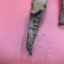 Lade das Bild in den Galerie-Viewer, Image #11