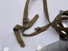 Charger l'image dans la galerie, Image #11