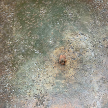 Charger l'image dans la galerie, Image #13