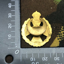 Charger l'image dans la galerie, Image #4