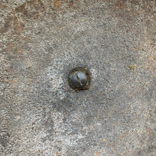 Charger l'image dans la galerie, Image #13