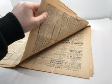 Charger l'image dans la galerie, Image #11