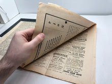 Charger l'image dans la galerie, Image #8