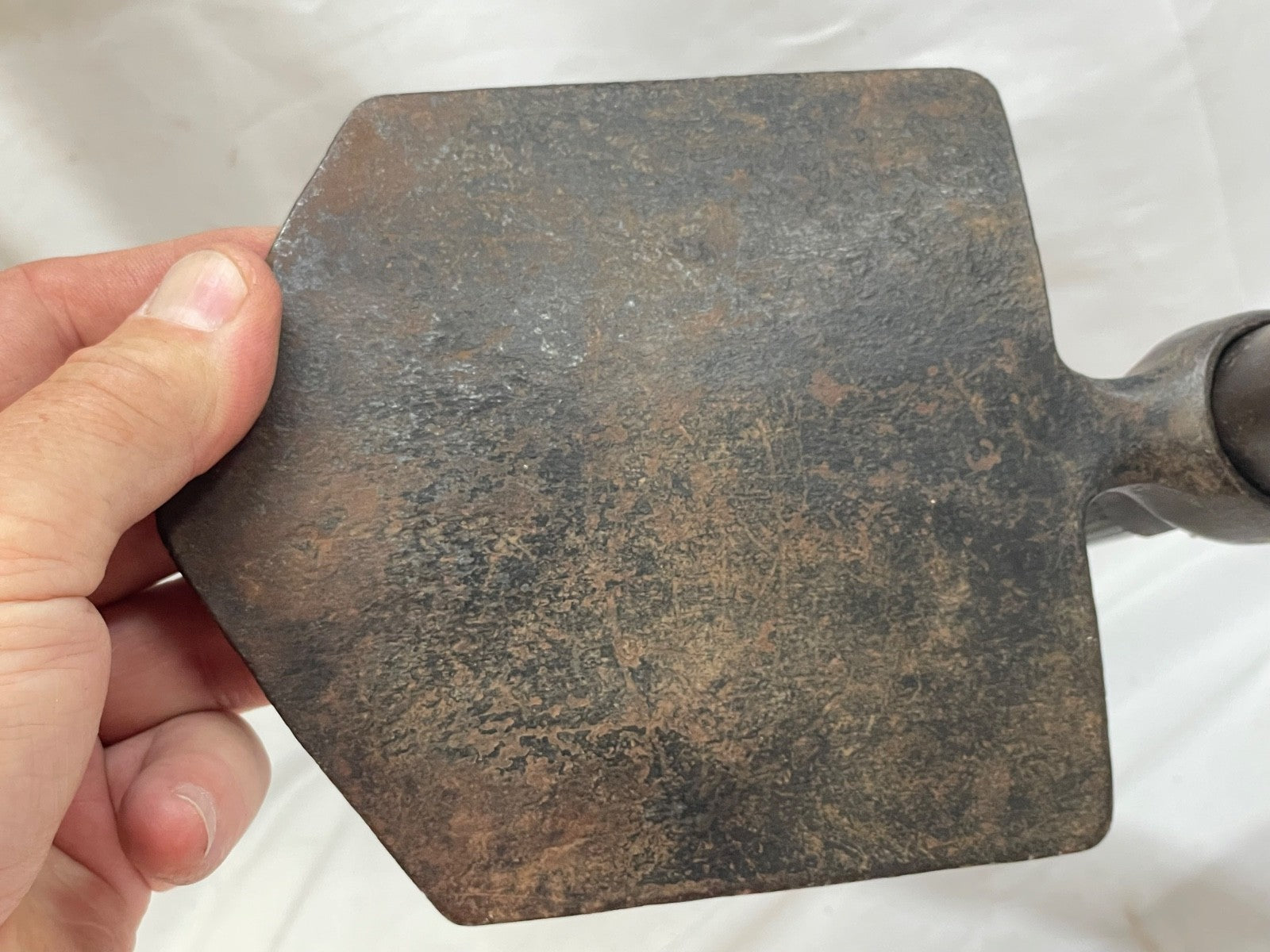 Image #22