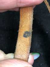 Charger l'image dans la galerie, Image #7