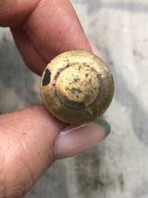 Load image into Gallery viewer, Original WW1 British Army SMLE Enfield Brass Oil Bottle - EFD Marked - The Militaria Shop