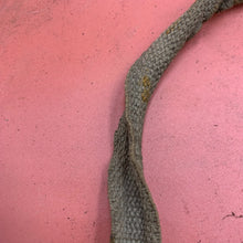 Charger l'image dans la galerie, Image #7