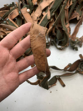 Charger l'image dans la galerie, Image #9