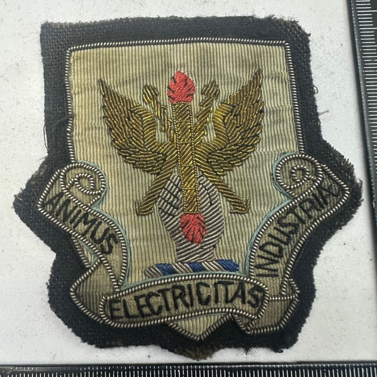 Image #1