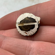 Load image into Gallery viewer, Image #1