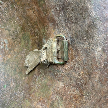 Load image into Gallery viewer, Image #14