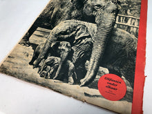 Lade das Bild in den Galerie-Viewer, Original Dutch Language WW2 Propaganda Signaal Magazine - No.18 1941 - The Militaria Shop