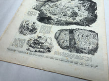 Load image into Gallery viewer, JB Juustrierter Beobachter NSDAP Magazine Original WW2 German - 3rd June 1943 - The Militaria Shop