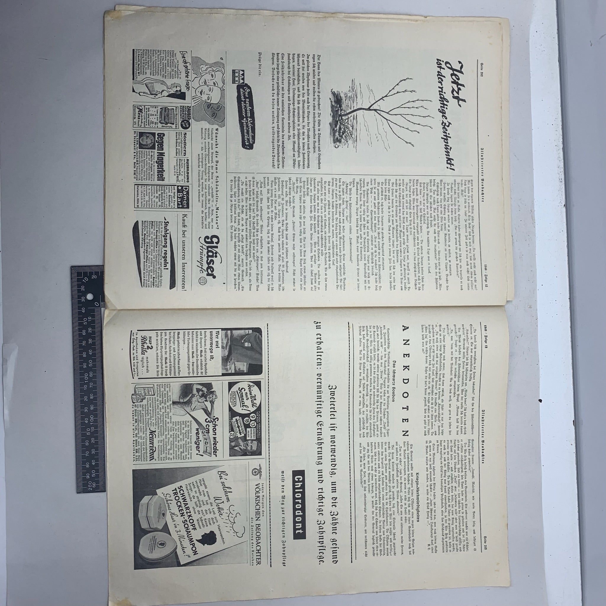 JB Juustrierter Beobachter NSDAP Magazine Original WW2 German - 21st March 1940 - The Militaria Shop