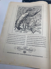 Load image into Gallery viewer, JB Juustrierter Beobachter NSDAP Magazine Original WW2 German - 16th January 1941 - The Militaria Shop