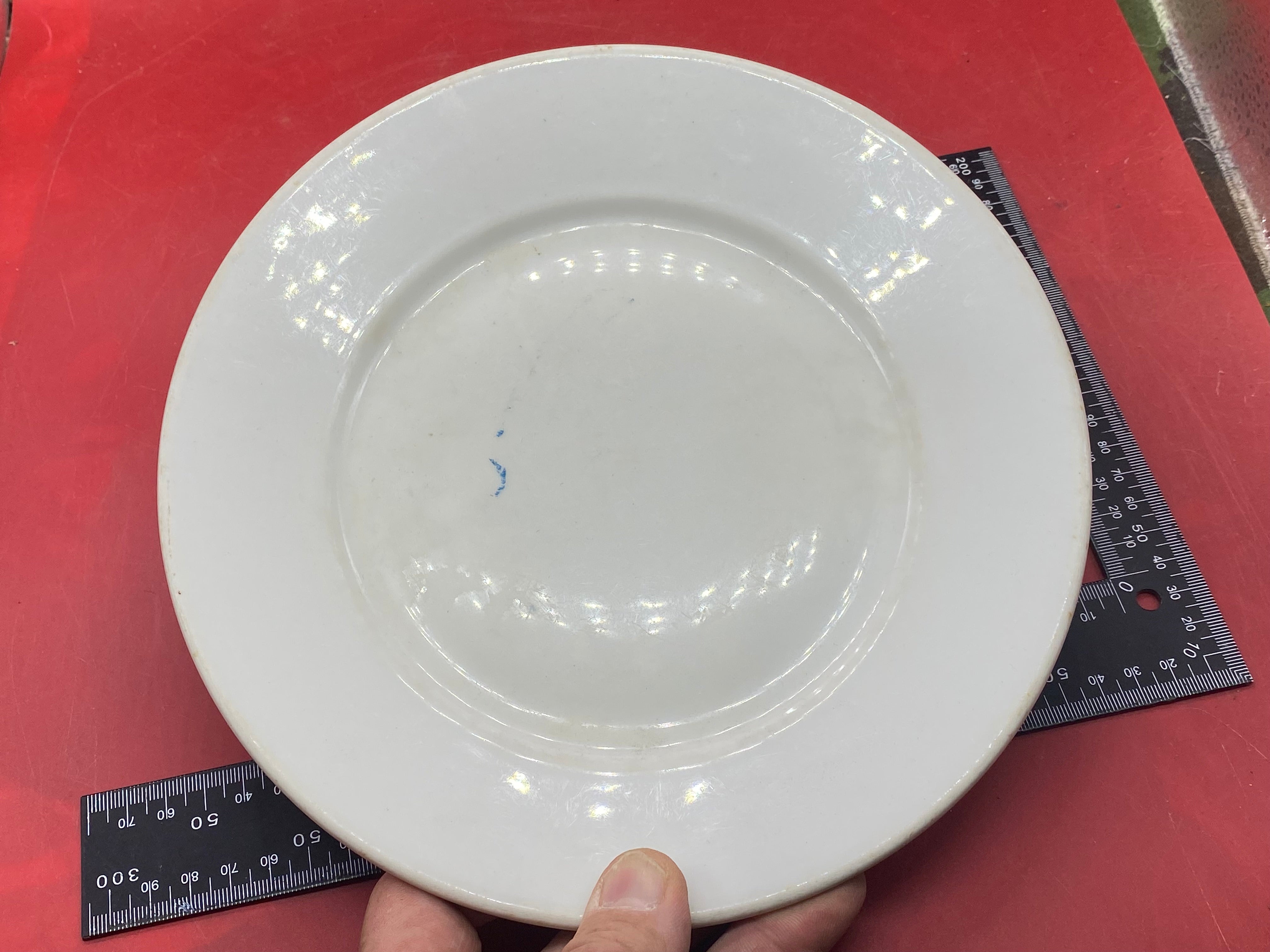 Large Heavy WW2 German RAD White Porcelain Plate. - The Militaria Shop