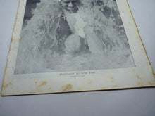 Lade das Bild in den Galerie-Viewer, JB Juustrierter Beobachter NSDAP Magazine Original WW2 German - 29th June 1939 - The Militaria Shop