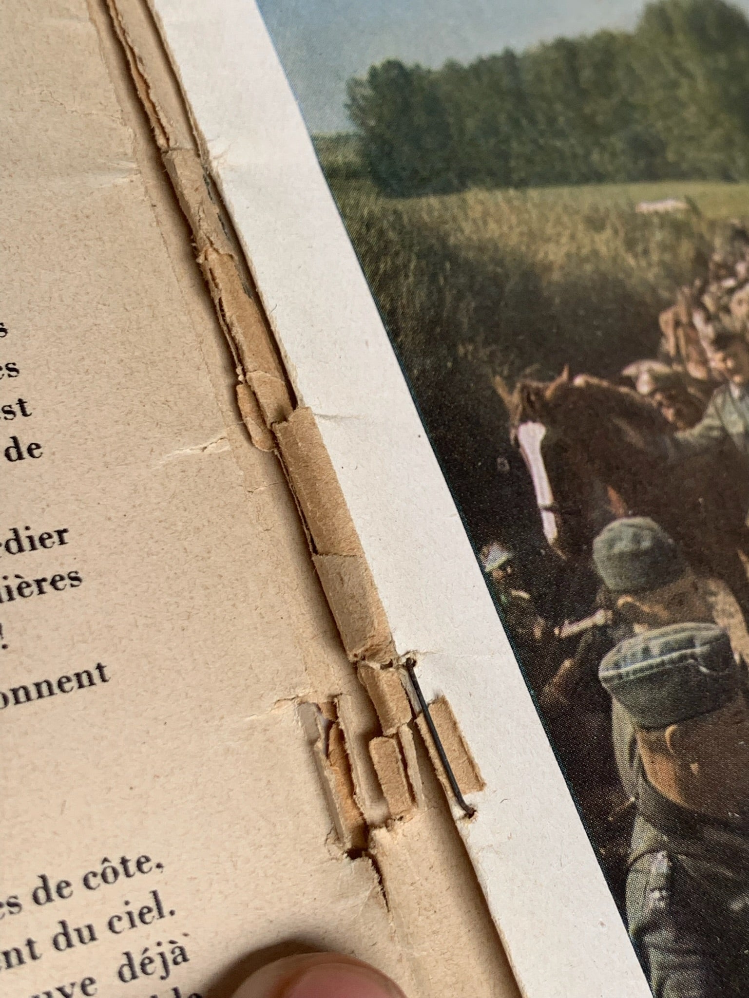 Original French Language WW2 German Signal Magazine - August 1940 - The Militaria Shop
