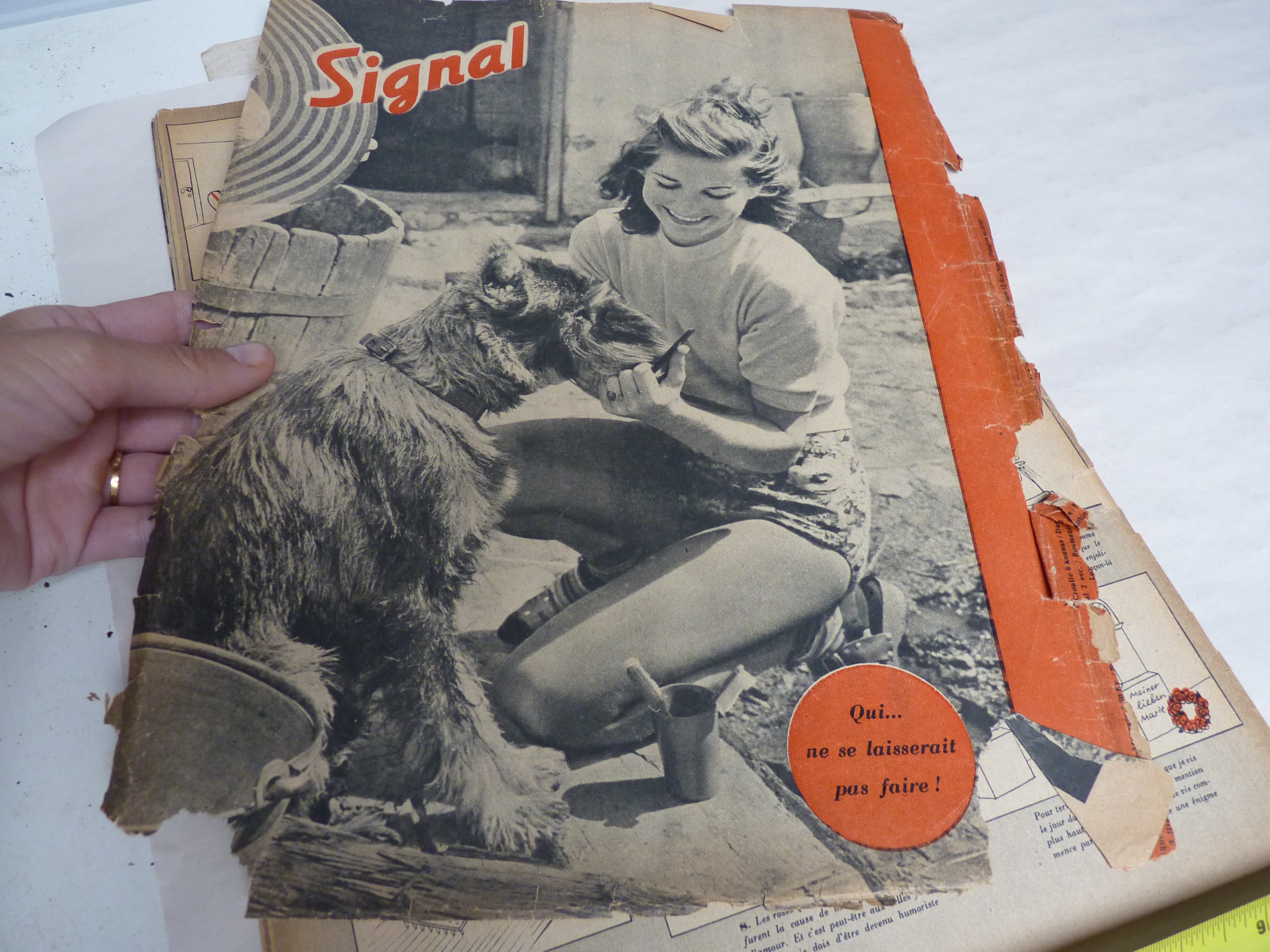 Original French Language WW2 German Signal Magazine - June - The Militaria Shop