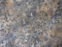 Load image into Gallery viewer, Original WW2 British / Canadian Army Mk3 High Rivet Turtle Army Combat Helmet - The Militaria Shop