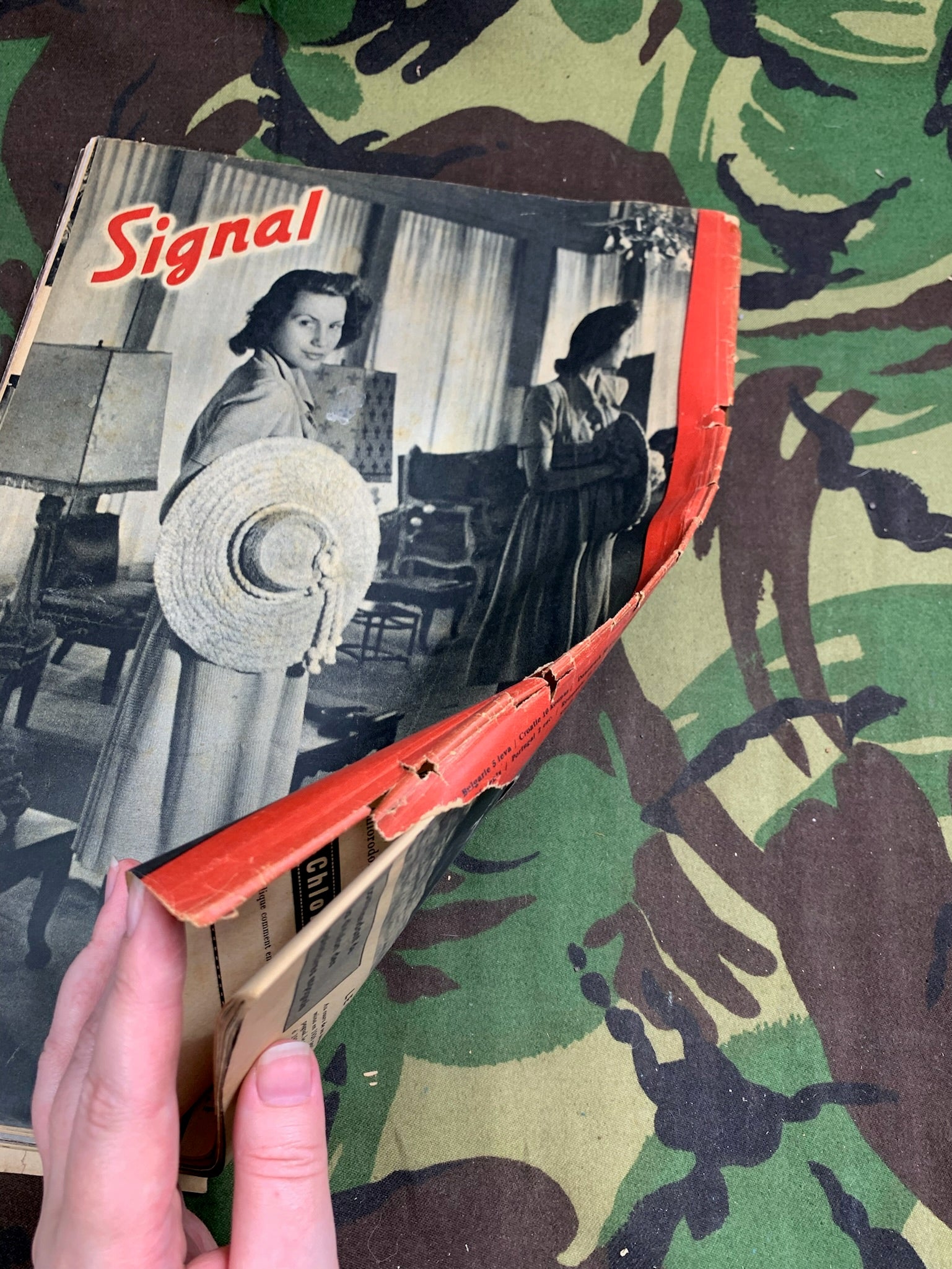 Original WW2 German Signal Magazine - May 1943 - The Militaria Shop