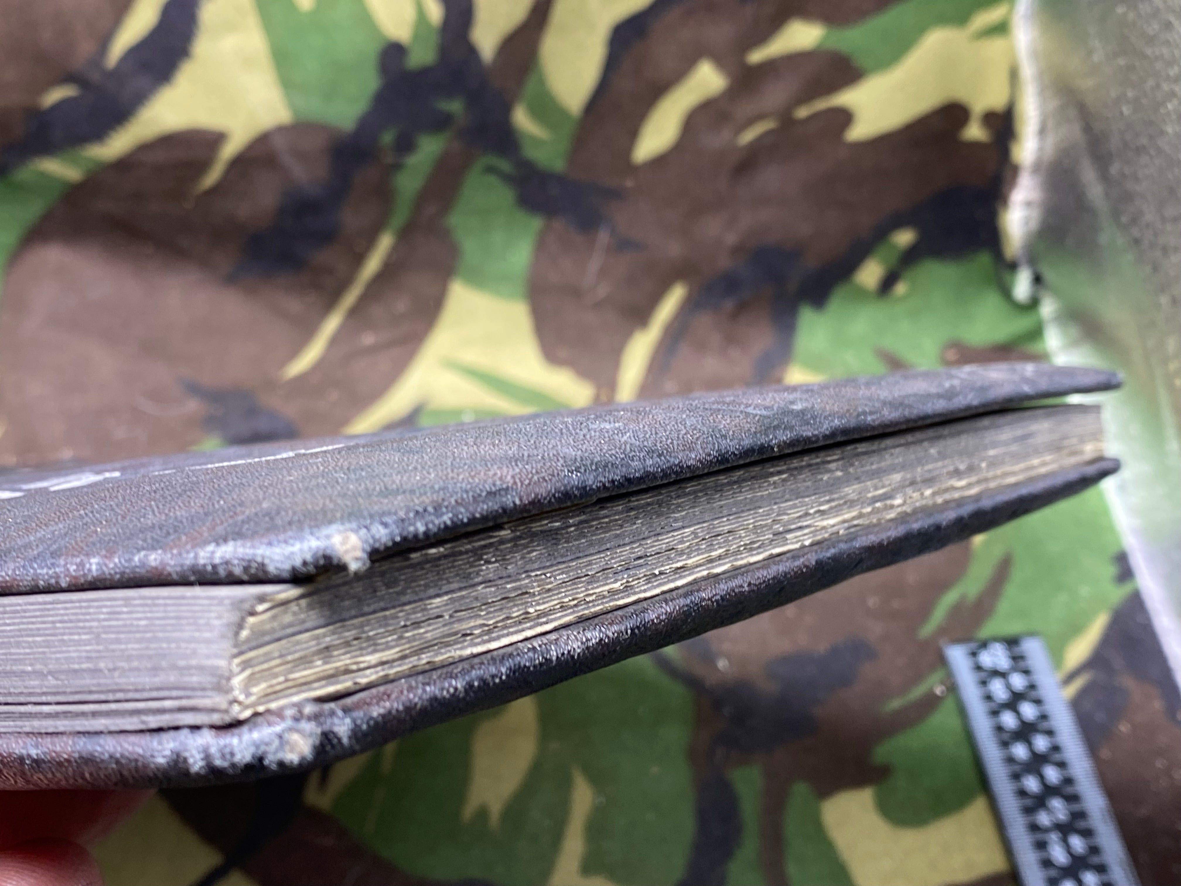 A WW2 German Army RAD Soldier's Photograph Album - excellent condition. - The Militaria Shop