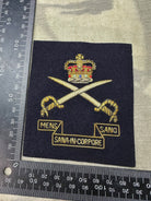 British Army Bullion Embroidered Blazer Badge - Army Physical Training Corps - The Militaria Shop