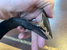 Lade das Bild in den Galerie-Viewer, Image #6
